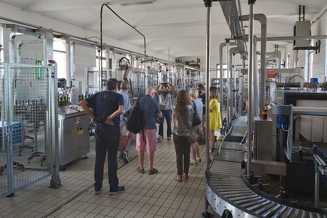 Etna Wineries Tour - Small Groups from Taormina - How the lunch at the second winery fits (and when it shines)