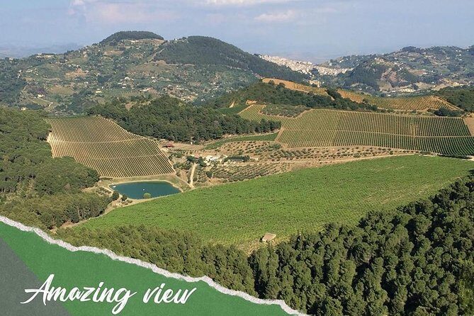 five sense outdoor experience - Stop 2: Castellammare del Golfo vineyard safari in Trapani wine country