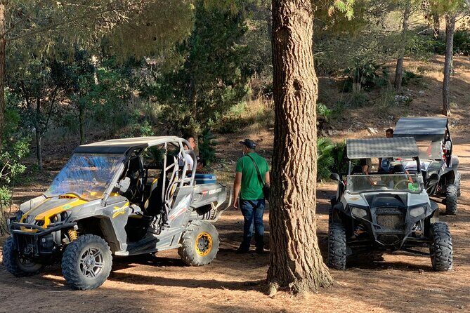 five sense outdoor experience - Stop 3: Monte Pispisa Forest, dwarf palms, and Gulf glimpses