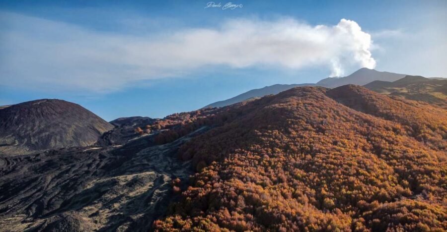 From Catania: Mt. Etna, Wine and Alcantara Tour - Up to Etna: what the hike is really like (and what you get at 2000m)