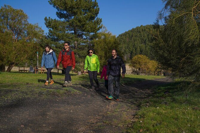 From Catania: Private mt. Etna trekking and pic-nic - Guide quality and multilingual support: what that means for you