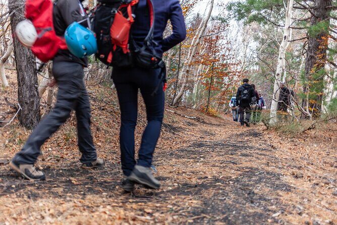 From Catania: Private mt. Etna trekking and pic-nic - Morning start: getting up to Etna without making your day complicated