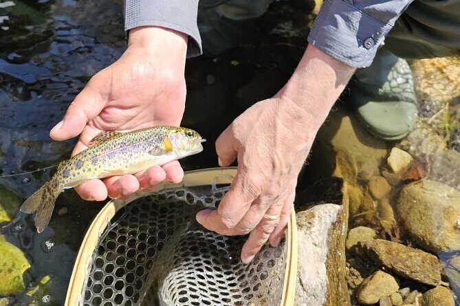 From Catania, Syracuse and Taormina: fly fishing experience - Where the day takes you: Catania pickup to Appennino Siculo time