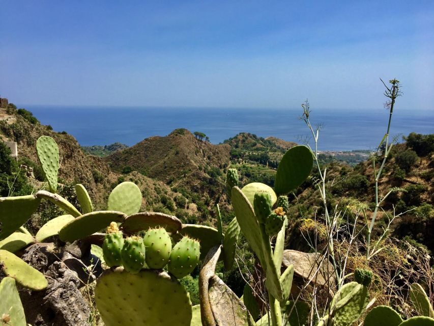 From Catania: The Godfather Movie Day Trip in Sicily - Forza d’Agrò: filming streets, village life scenes, and big views