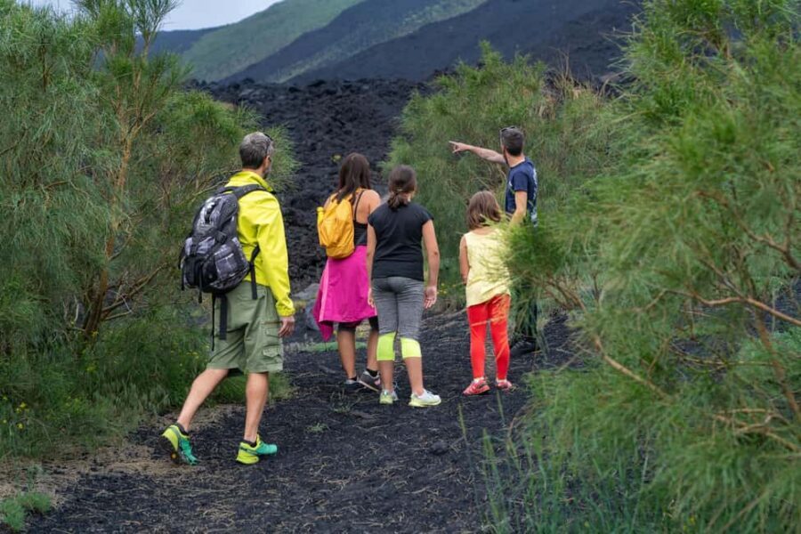 From Taormina: Etna Tour with Hiking, Cave Visit, & Tastings - Walking extinct craters and ancient lava: the main hike