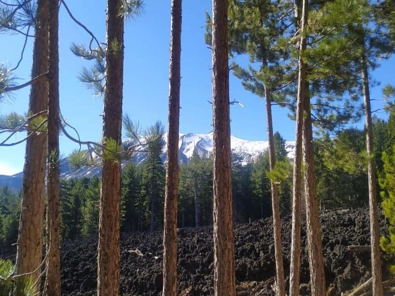 From Taormina: Etna Walking Tour and Wine Tasting in Winery - Key Highlights You’ll Actually Feel on Day One