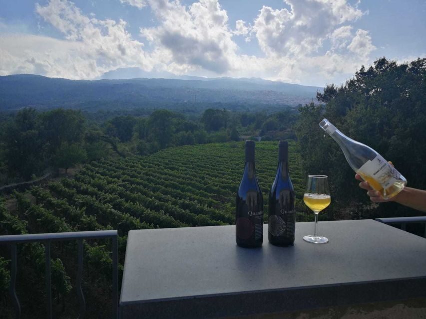 From Taormina: Etna Wineries Small Group Tour - Key highlights to look for