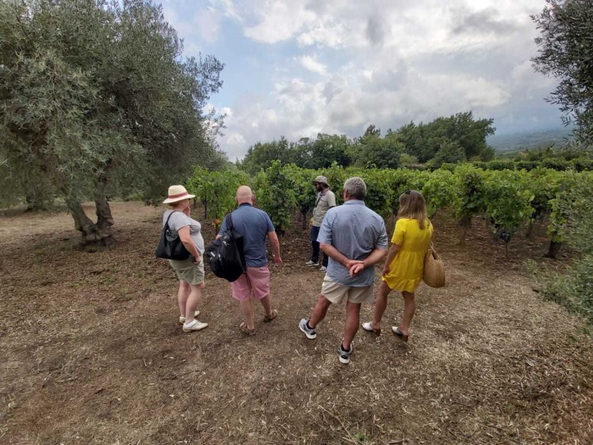 From Taormina: Etna Wineries Small Group Tour - The guides: how Tony, Roberto, Giuseppe, and others turn wine into place