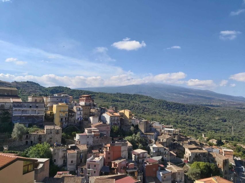 From Taormina: Etna Wineries Small Group Tour - Who should book this Etna wineries tour