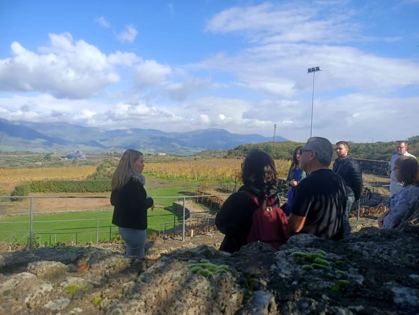 From Taormina: Etna Wineries Small Group Tour - Comfort and timing: the 9-seater van plan from Taormina and Naxos