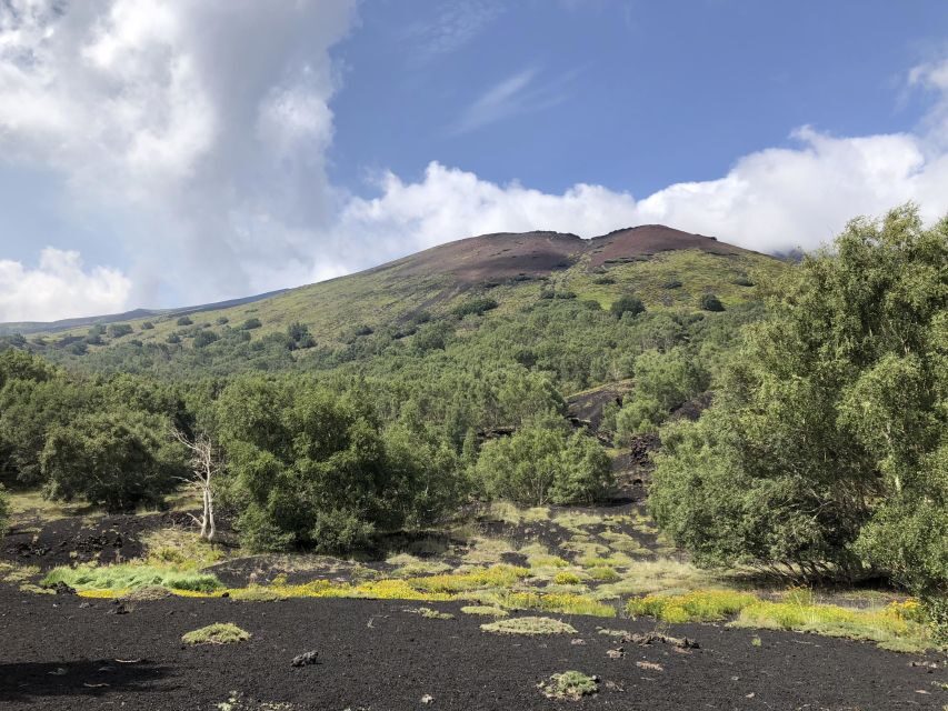 From Taormina: Full-Day Etna, Wine & Alcantara Canyons Tour - Price and value: is $116.68 worth it?