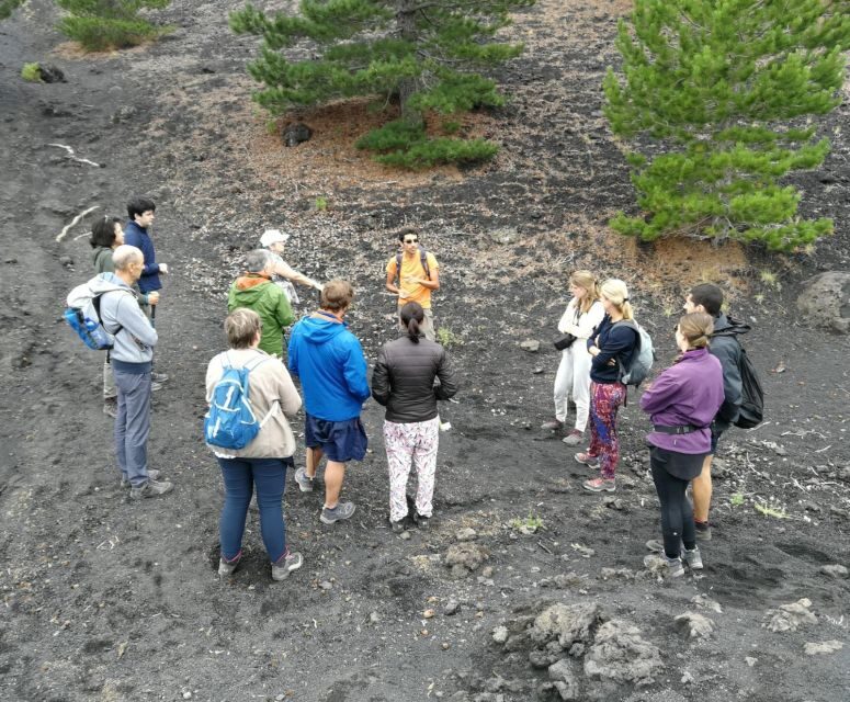 From Taormina: Full-Day Etna, Wine & Alcantara Canyons Tour - The 2,000-meter crater hike: woods, ash, and extinct rims