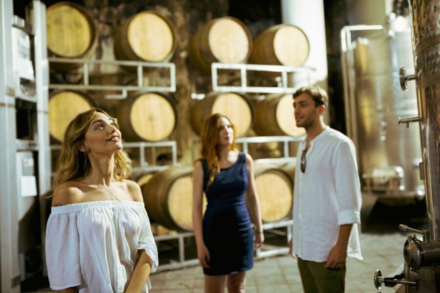 From Taormina: Mount Etna Food and Wine Tasting Tour - Who This Tour Suits Best (And Who Might Want Something Else)