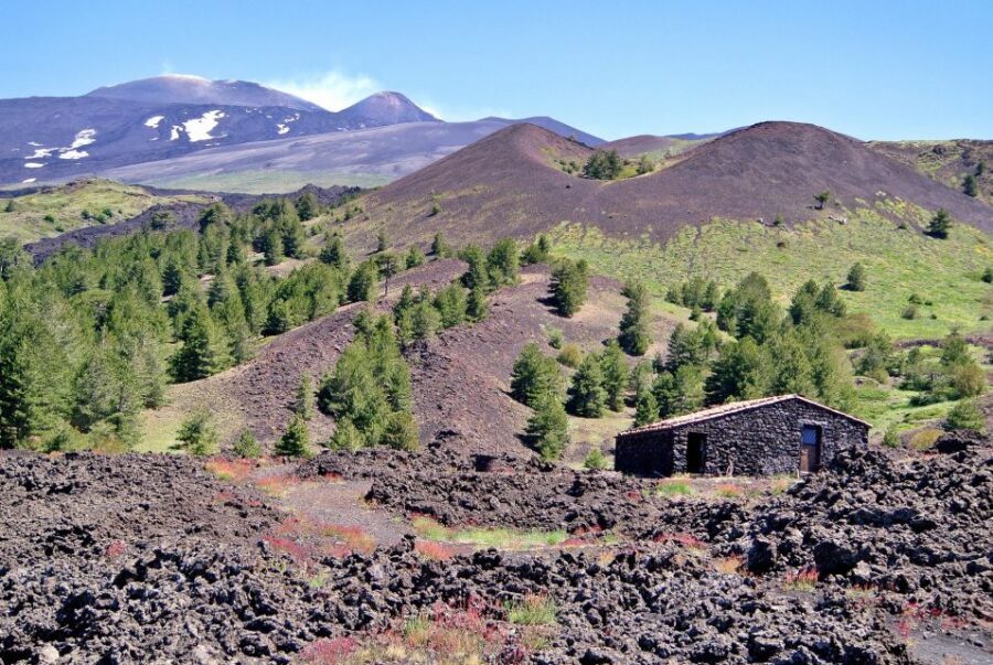 From Taormina: Mount Etna Guided Bus Tour - Price and Value: What You’re Actually Paying For