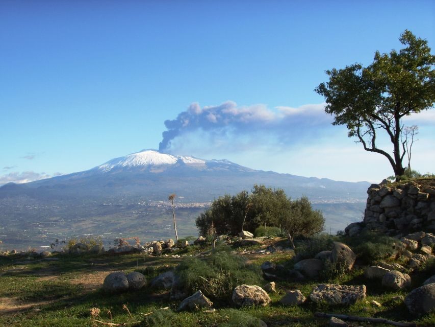 From Taormina: Mount Etna Guided Bus Tour - Real Talk on the Cost to Go Higher