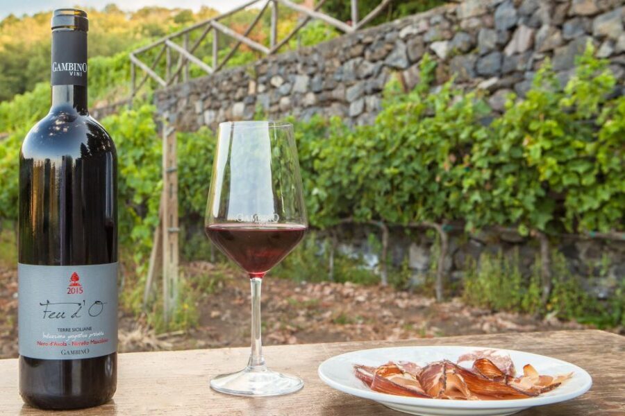 From Taormina: Private 3 Etna Wineries with Food & Wine - Stop 1: The First Winery and Those Early DOC Tastings