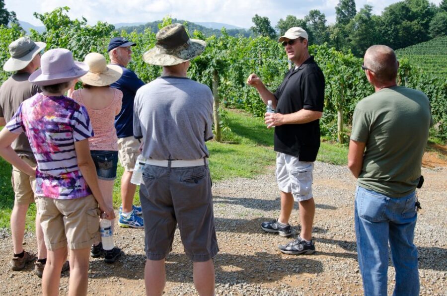 From Taormina: Private 3 Etna Wineries with Food & Wine - Getting Picked Up Near Taormina (and How the Ride Sets the Tone)
