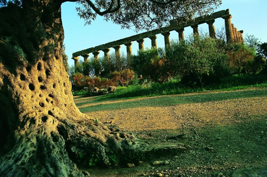 From Taormina: Valley of The Temples & Piazza Armerina Tour - FAQ