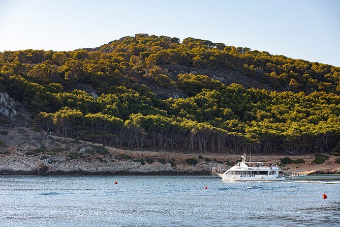 From Trapani: Egadi Islands tour with lunch on board - Favignana Coast Tour and the Lunch-on-Board Moment