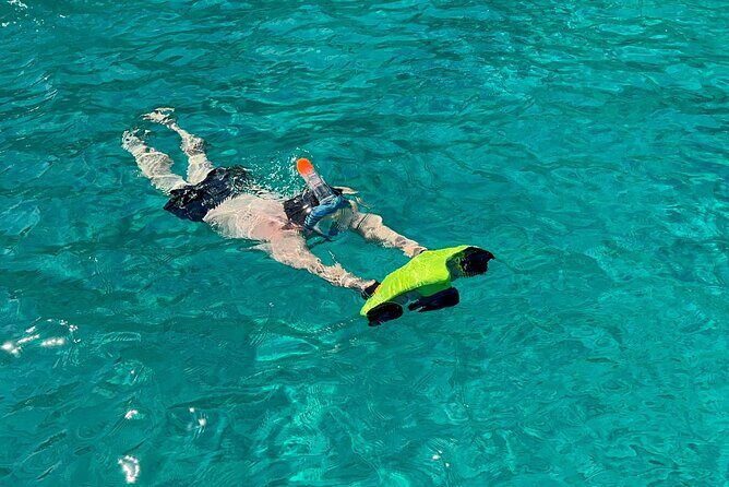 Full Day Palermo Boat Tour with Palermo Experiences - Stop 4: Grotta della Regina for a Last Dip and On-the-Spot Cannoli