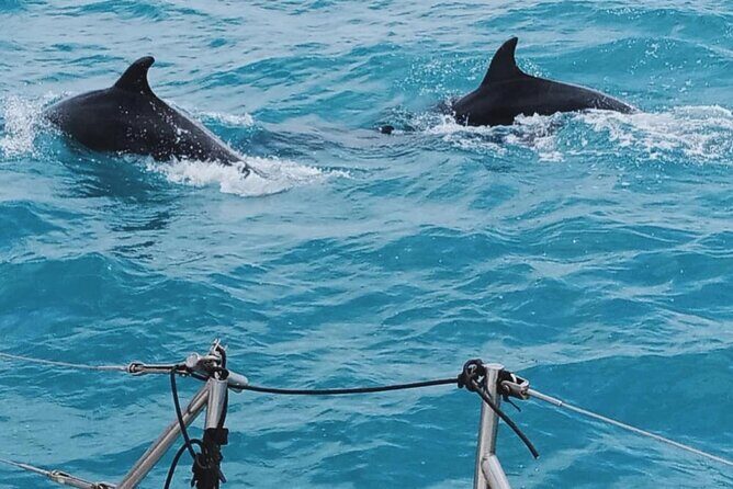 Full Day Sailing Tour Catania-Acitrezza - Sailing Yourself: The Fun Factor (When Conditions Allow)