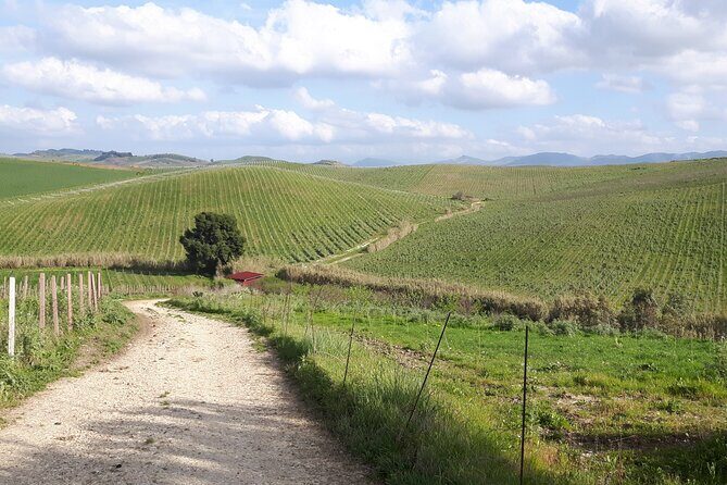 Full-Day Wine Tour in Western Sicily - Western Sicily Wine Day, The Parts You’ll Actually Remember