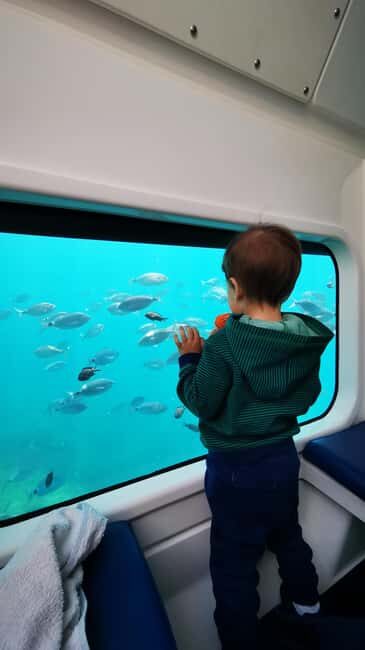 Giardini Naxos: Semi-Submarine Tour to Isola Bella - Who should book this semi-submarine tour