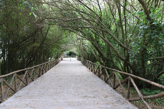 Group guided tour of the archaeological park of Neapolis - Ara di Ierone: a short stop that gives bigger meaning
