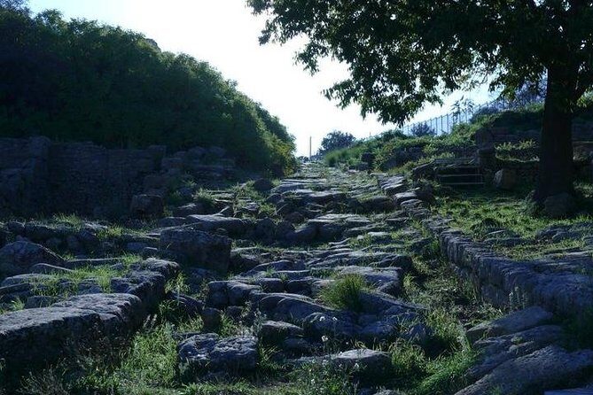 Guided Tour in Morgantina. Visit Morgantina. - Price and logistics: what you pay versus what you need to add