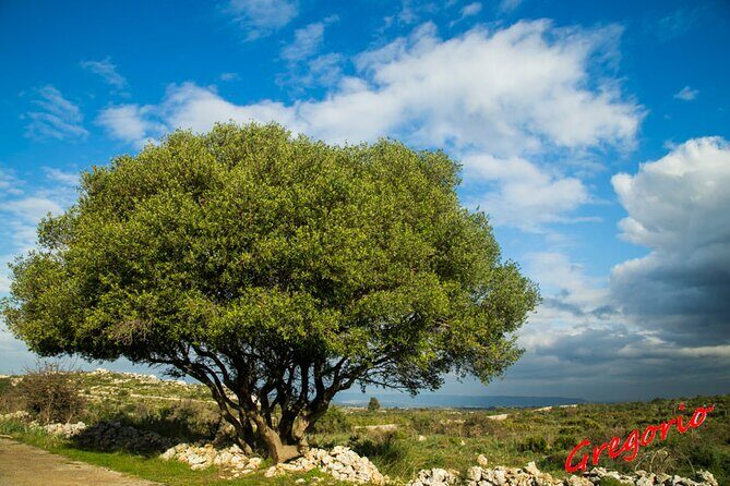 Guided Trekking to Cavagrande del Cassibile in Sicily - Getting the most out of your visit