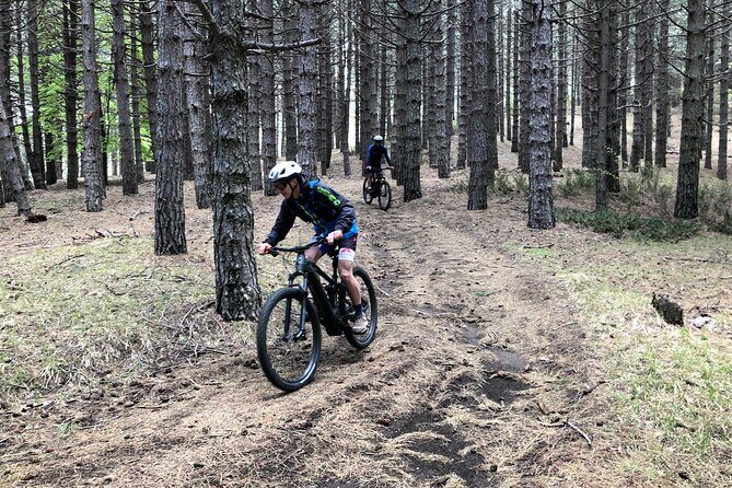 Half Day Tour to discover Etna by E-Mtb - Beech forest climb and the Timpa Rossa refuge pause