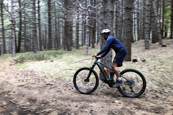 Half Day Tour to discover Etna by E-Mtb - The return route: dirt roads through woods and a steady finish