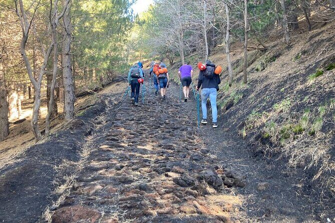 Half day Trekking Tour on Etna - Valle del Bove: the view that makes the climb worth it