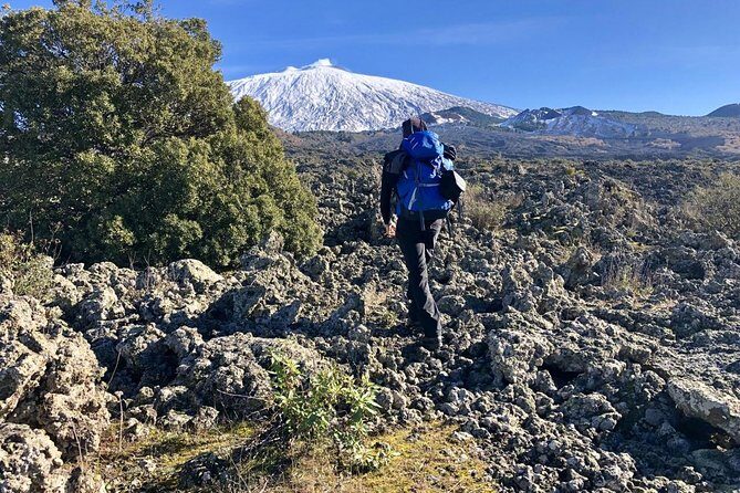 Half or full day trekking on Etna with private guide - Gear and what to bring: rental is offered, but your planning still matters