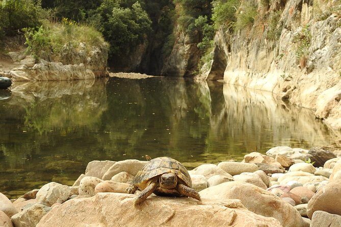 Inflatable boat excursion Gole di Tiberio on the Madonie near Cefalù - Gear and safety: what’s provided, and what you should bring