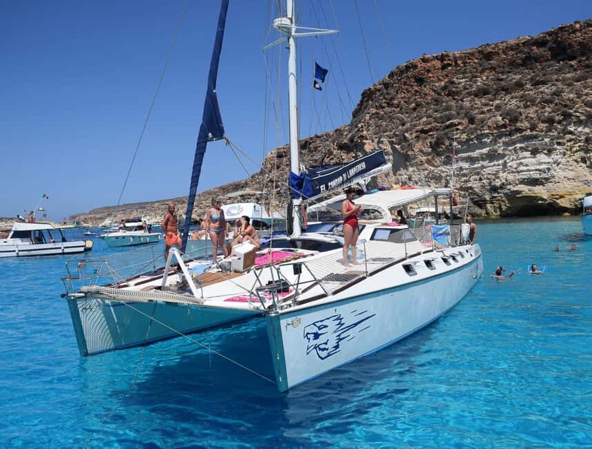 Lampedusa: Dolphin watching with aperitif at sunset - The dolphin-and-turtle search: what you’re really paying for