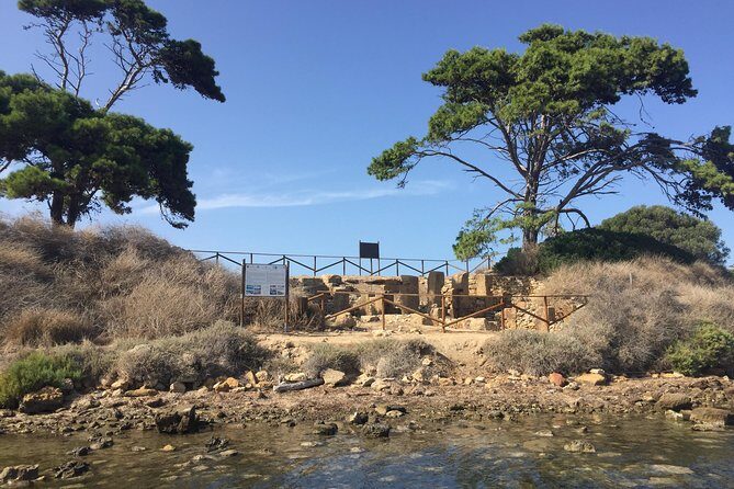 Marsala Salt Pans and Mothia Island Boat Tour - Stop 3: Wine Tasting and Local Products in the Salt-Pans Setting