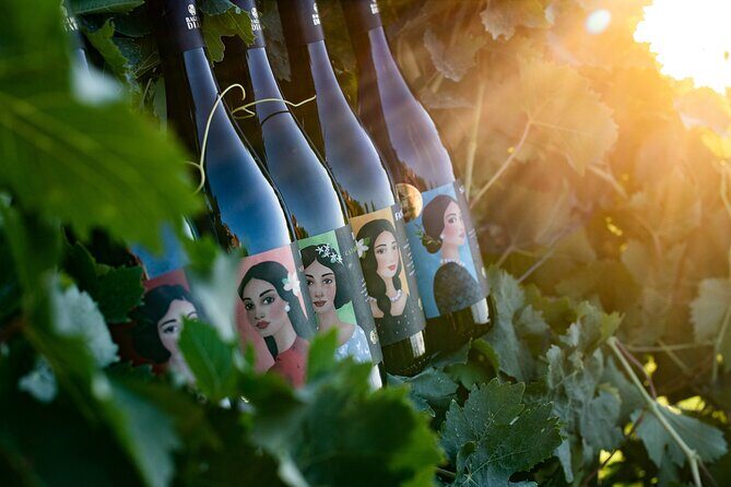 Marsala Tasting of 5 Sicilian organic wines - Key points to know before you go