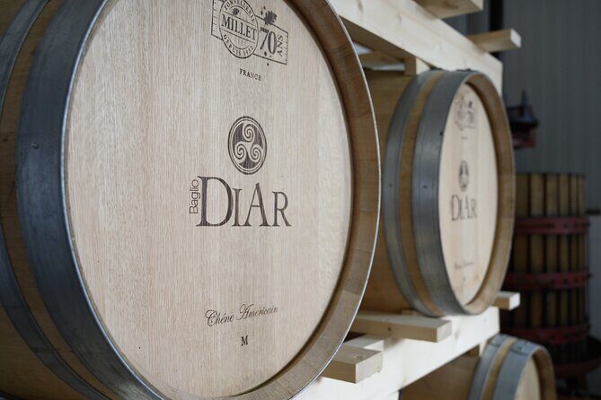 Marsala Tasting of 5 Sicilian organic wines - How the Guided Tour Flows From Harvest to Aging