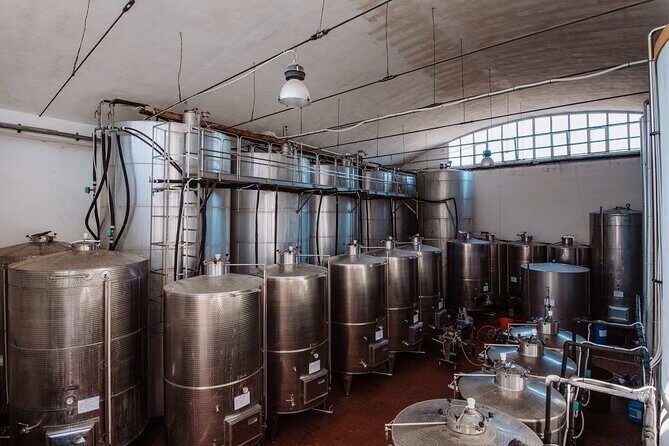 Marsala Tasting of 5 Sicilian organic wines - Meet Baglio DiAr: What an Organic-Only Winery Means
