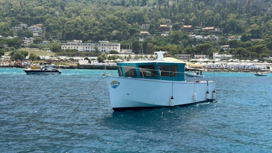 Mondello: 4-Hour Coastal Boat Tour with Aperitif & Swimming - A secret stop: where marine life watching turns the day personal
