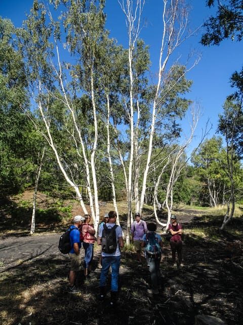 Mount Etna and Alcantara Gorges Day Trip - Stop 2: Monti Sartorius Hike Through Ancient Craters