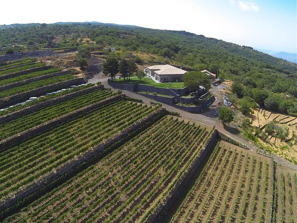 Mount Etna, Lunch in a Winery and Taormina Private Day-Trip from Messina - Practical tips to make the day feel effortless