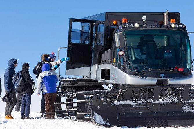 Mount Etna South Slope: Ticketing for the Etna Cable Car - Who should book, and who should skip