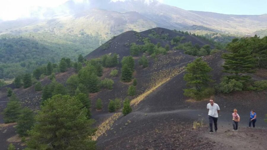 Mount Etna & Taormina Multi-language Tour from Palermo - Should you book this Palermo to Etna and Taormina tour?