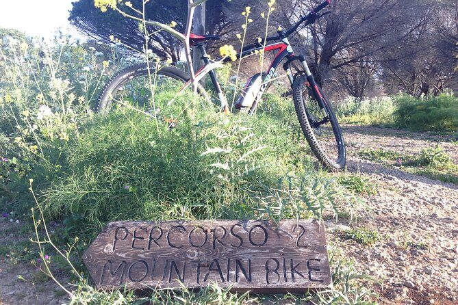 Mount Pellegrino MTB EXPERIENCE - Price and value: what $102.02 buys you
