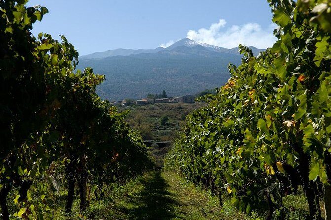 Mt Etna and Wine tasting tour from Catania - Optional upgrades: cable car and 4x4 for higher altitudes, plus quad or bike
