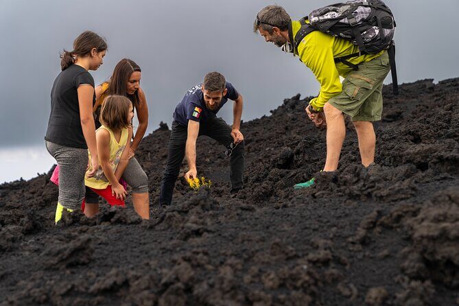 Mt Etna and Wine tasting tour from Catania - Price and logistics: what you’re really paying for