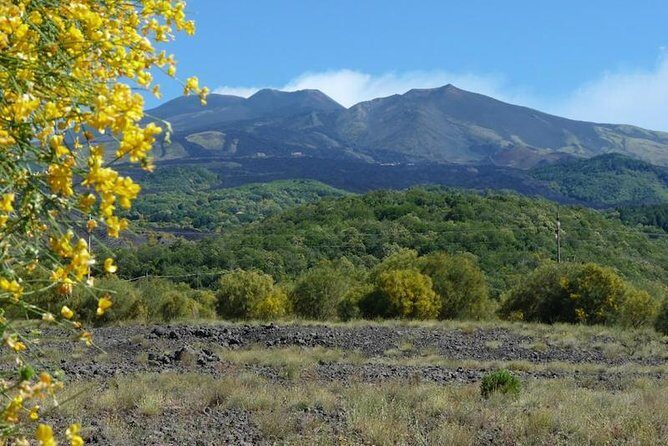 Mt. Etna nature and flavors half day Tour from Catania - Grotta dei Tre Livelli: the short lava cave stop that lands