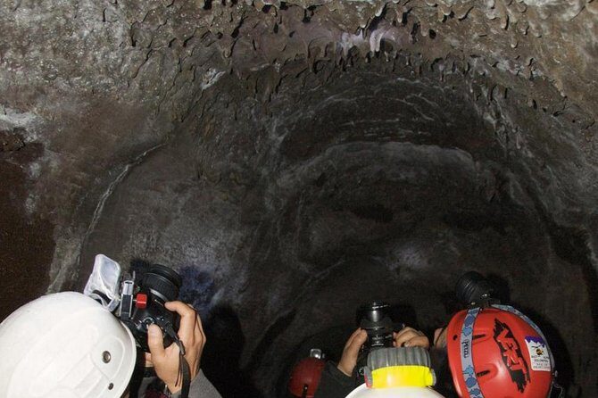 Mt. Etna nature and flavors half day Tour from Catania - Price and value: where the $71.35 really makes sense